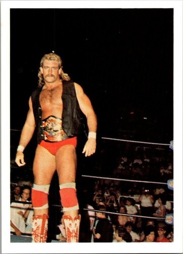 1988 wonderama nwa magnum - 1988,